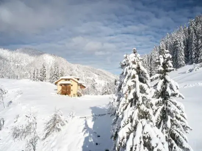 Sotciastel Apartment