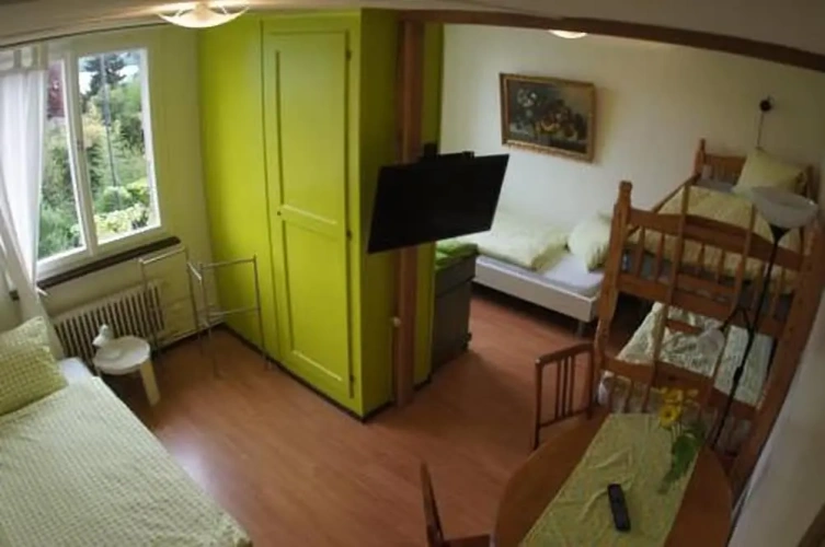 Standard Quadruple room with lake view