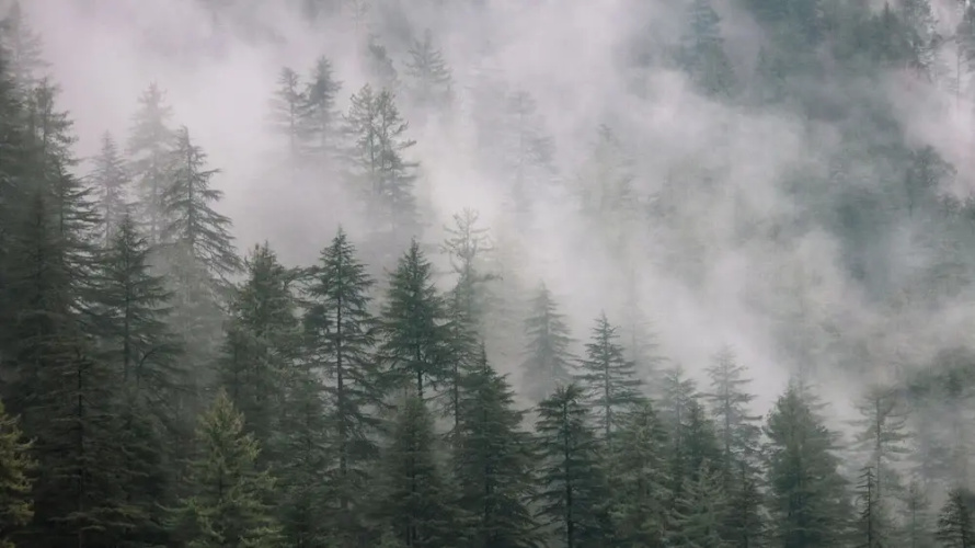 The VOID - Tirthan Valley