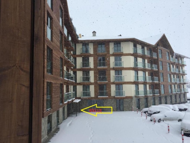 1 Bedroom Apartment