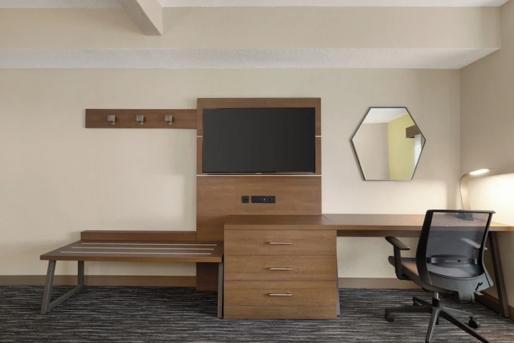 1 Bedroom Suite