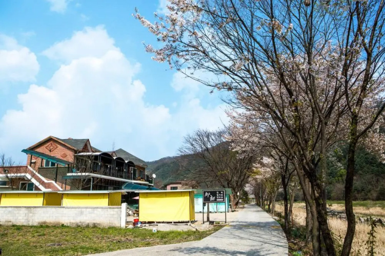 Mare Pension