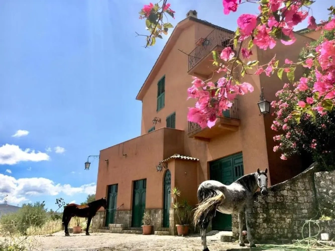 Deluxe Villa
