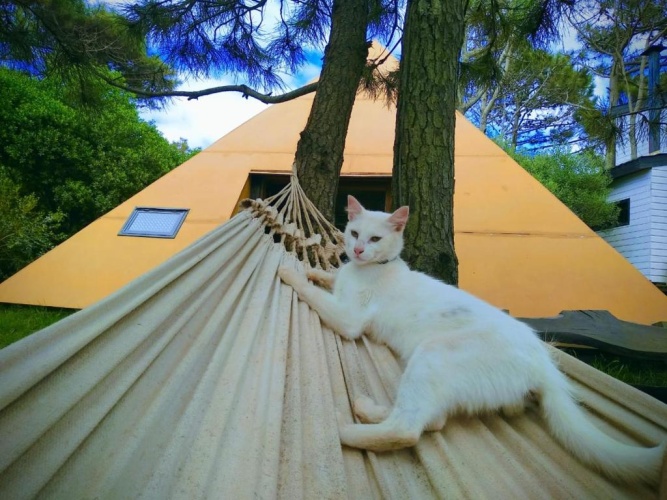 Chalet