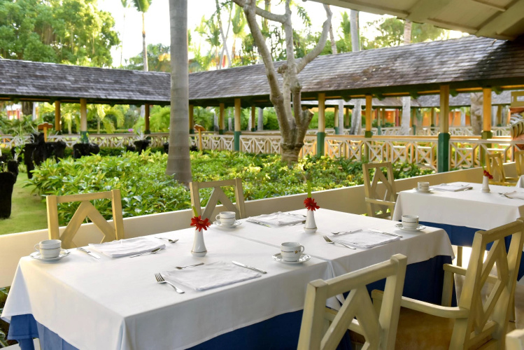 Iberostar Dominicana photo 46