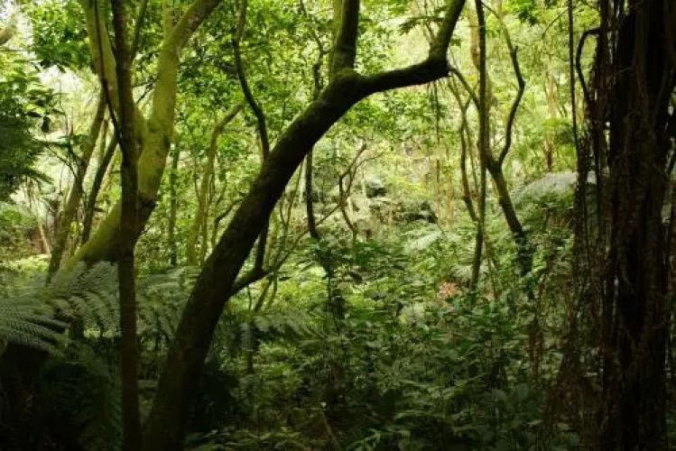 Reserva Azul