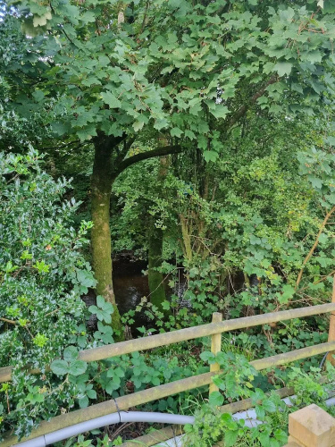 Glamping Hut - Riverview 4