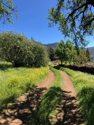 Tejeda Parque Rural el Nublo