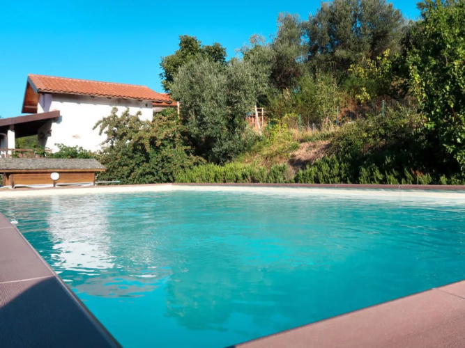 Apartment Olivo Vendone