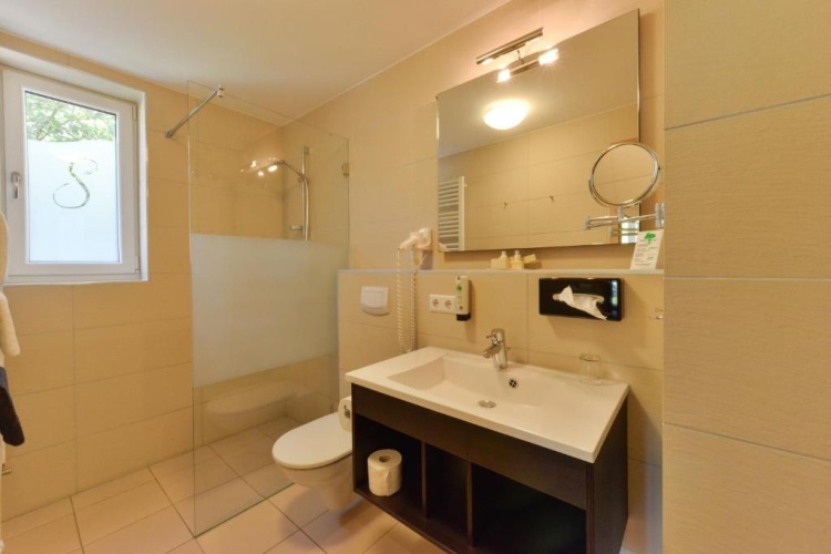 Standard Double room with balcony and with view