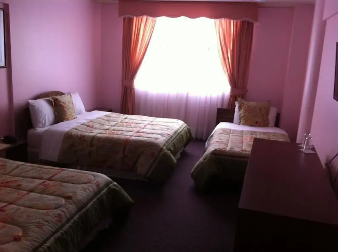 Hotel Barros Arana