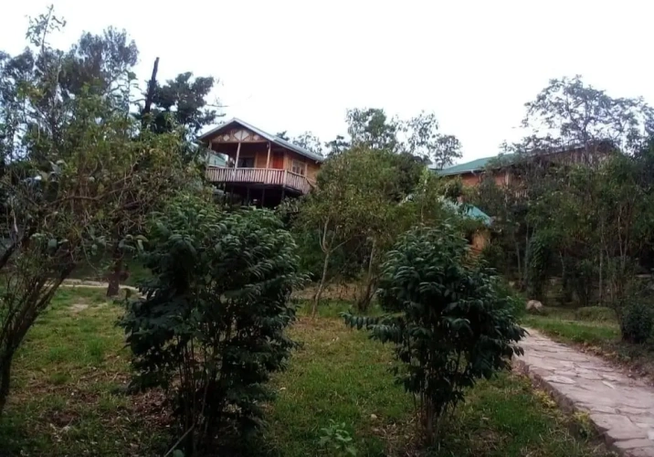 Cottage