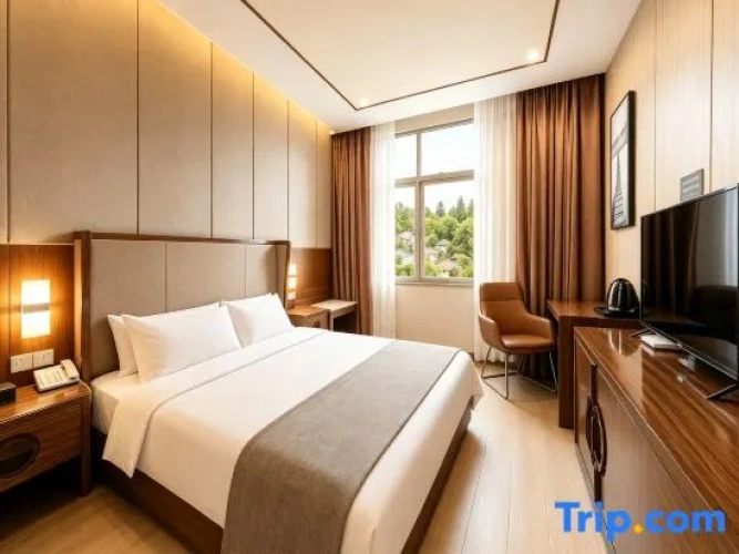 Comfort Family Suite