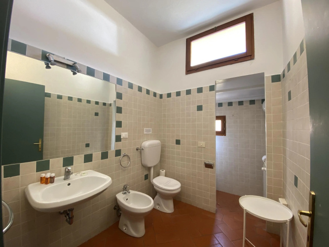 Alfani Double in Firenze