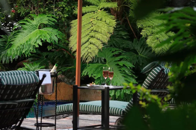 Palms Wilderness Retreat