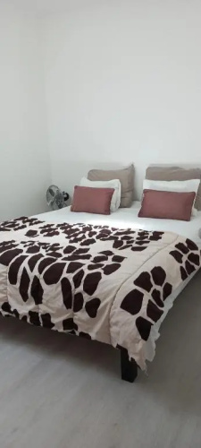 Bel appartement 1er étage Maiso