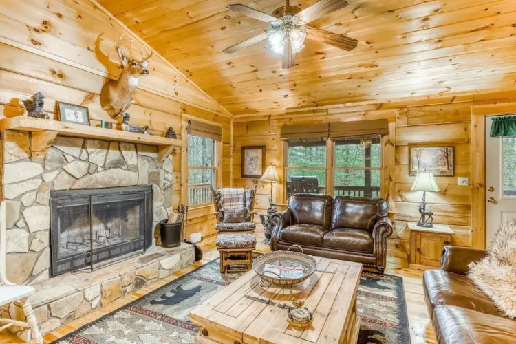 Bumpa Bear Hideaway