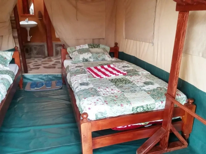 Tent