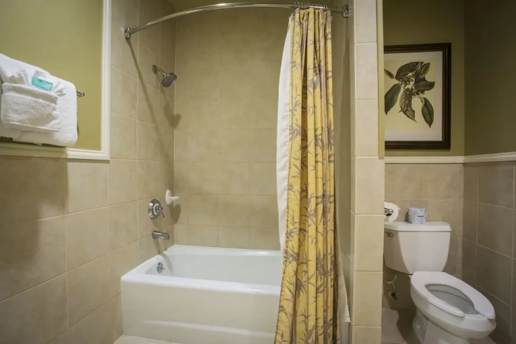Standard Quadruple Suite
