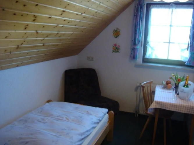Standard Double room with view