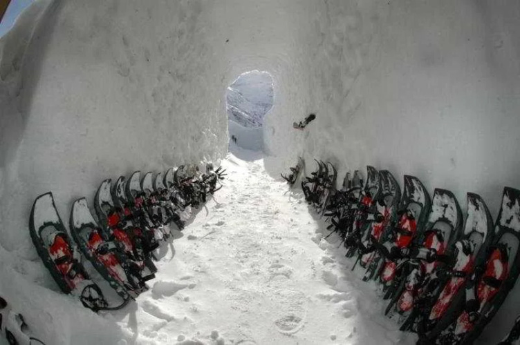 Iglu