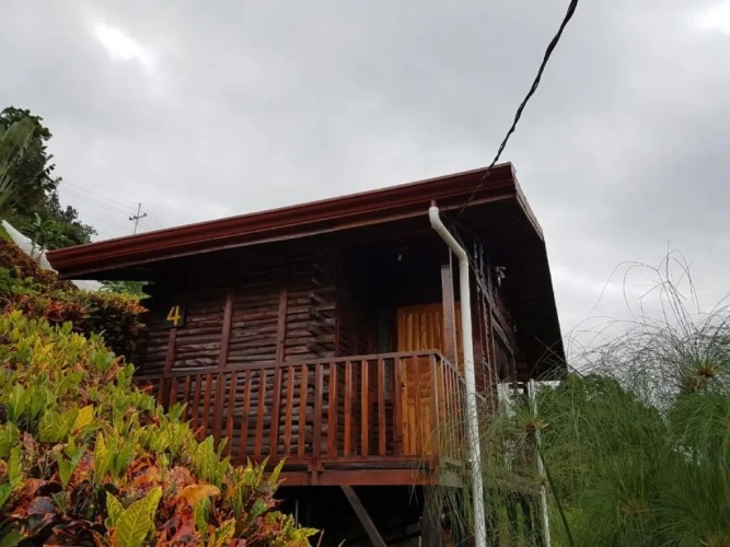 Deluxe Double room with balcony and with view