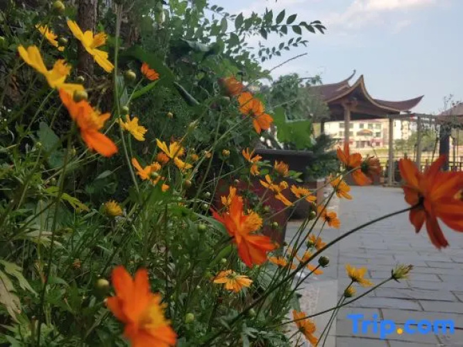 Fuchun Dalingtu Homestay