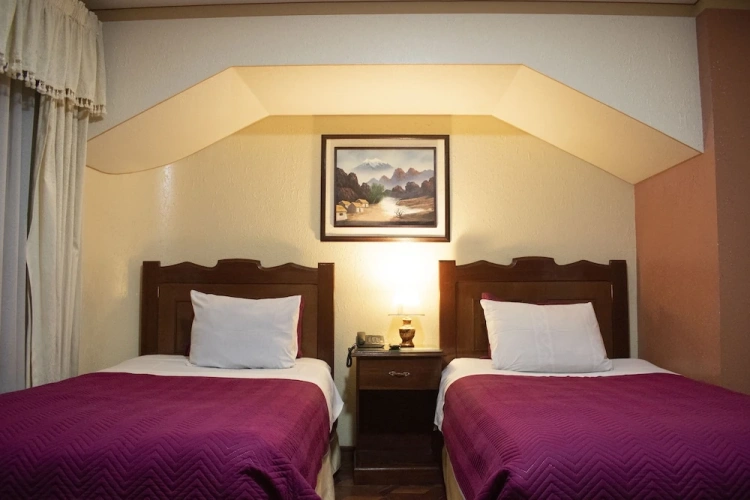 1 Bedroom Standard Twin room