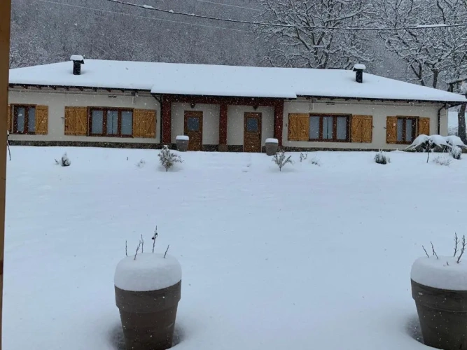 Cottage