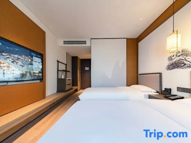 Standard Double room with view