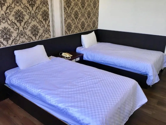 Standard Twin room with sea view