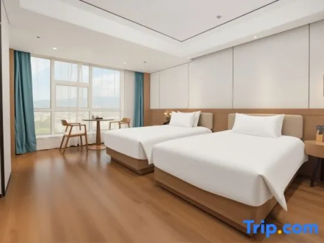 Deluxe Twin room with city view