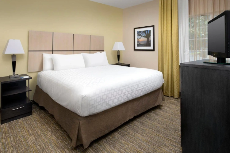 1 Bedroom Suite