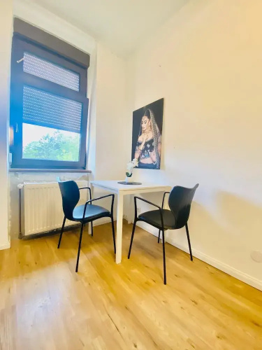 Spacious 4BR for 15 & 15 Min to Danube