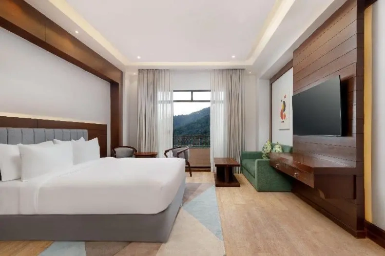 Premium Double room
