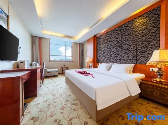 Comfort Double Suite