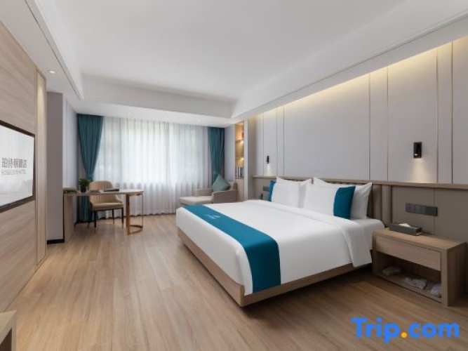 Premier Single room