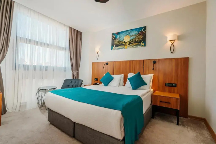 Library Hotel Erciyes