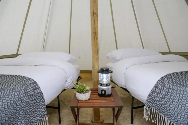 Tent