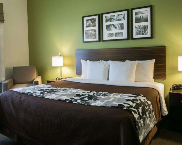 Standard Double room