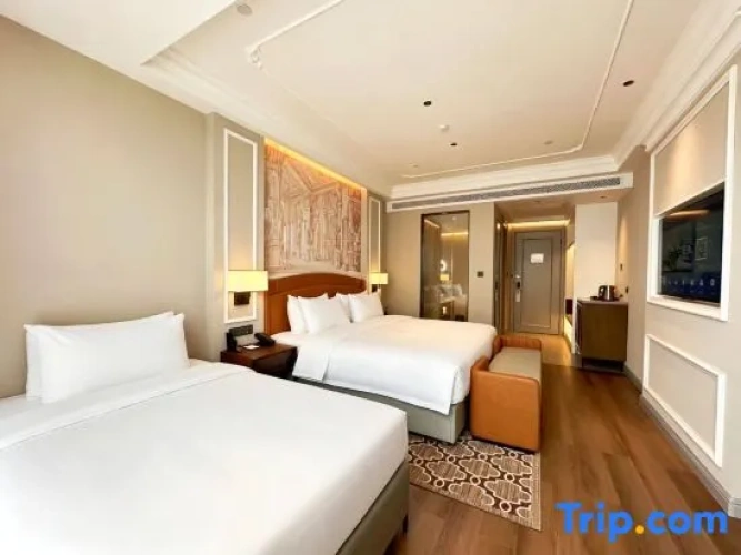 Deluxe Twin Family room