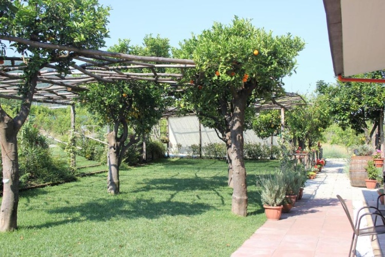 Standard Double room with garden view
