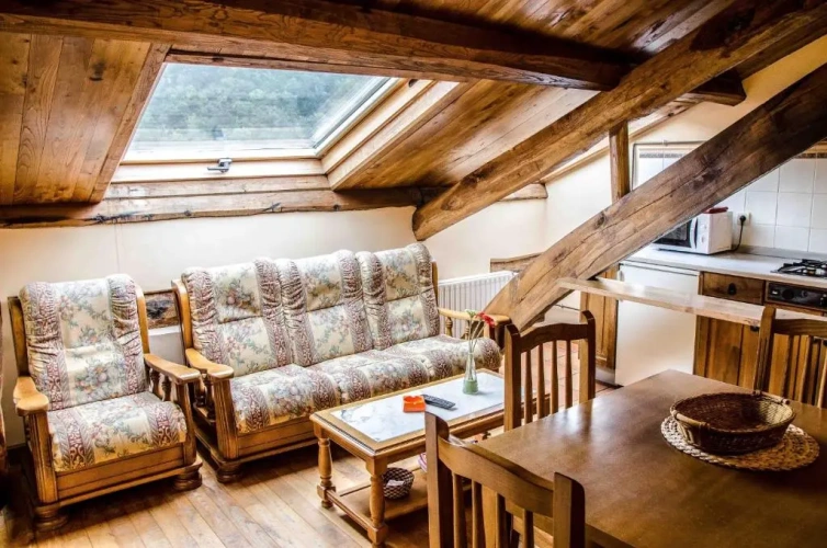 Basement Apartment with view