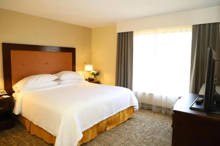 Accessible Double Suite