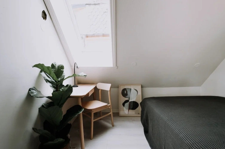 Premier Apartment