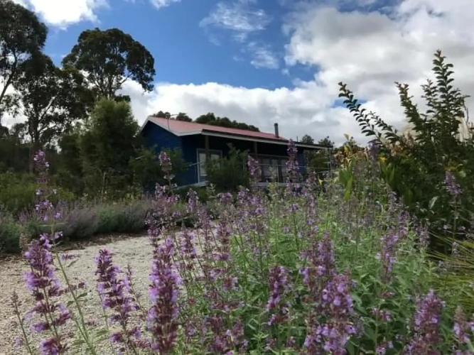 Deluxe Cottage