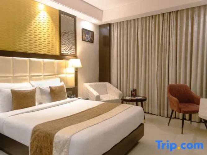 1 Bedroom Executive Double room