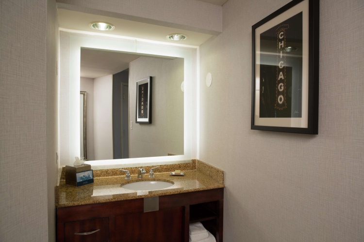 Hilton Chicago/Oak Lawn photo 10