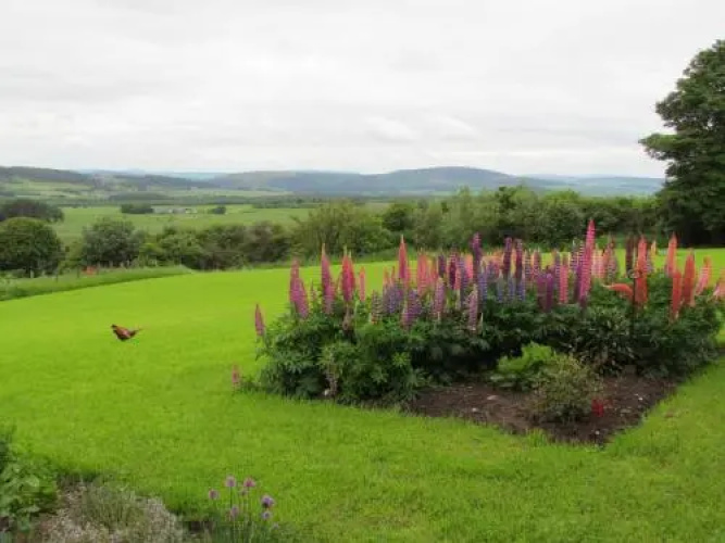 Brambleburn Steading B&B