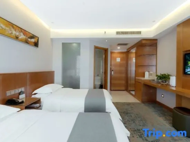 Standard Double room with city view